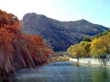 新澳天天开奖资料大全旅游团，密集症